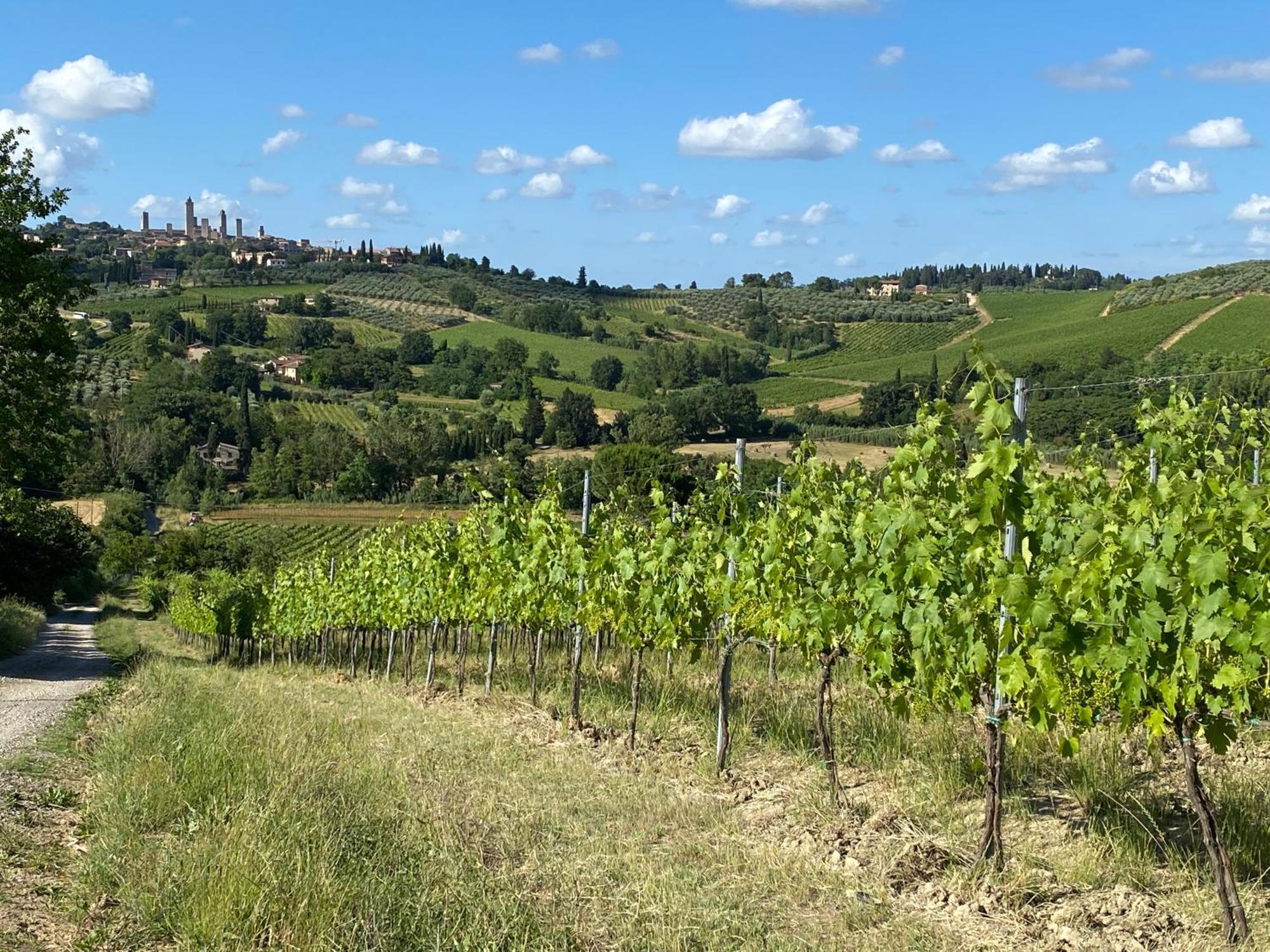 Podere Casanuova San Gimignano Exterior foto