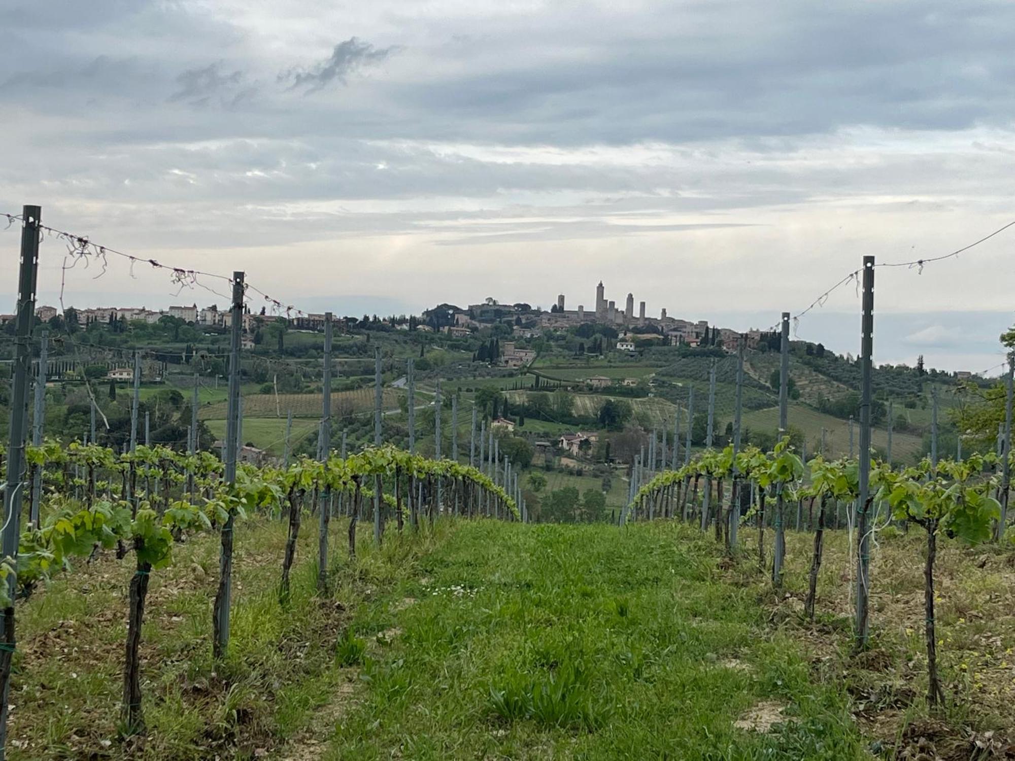 Podere Casanuova San Gimignano Exterior foto