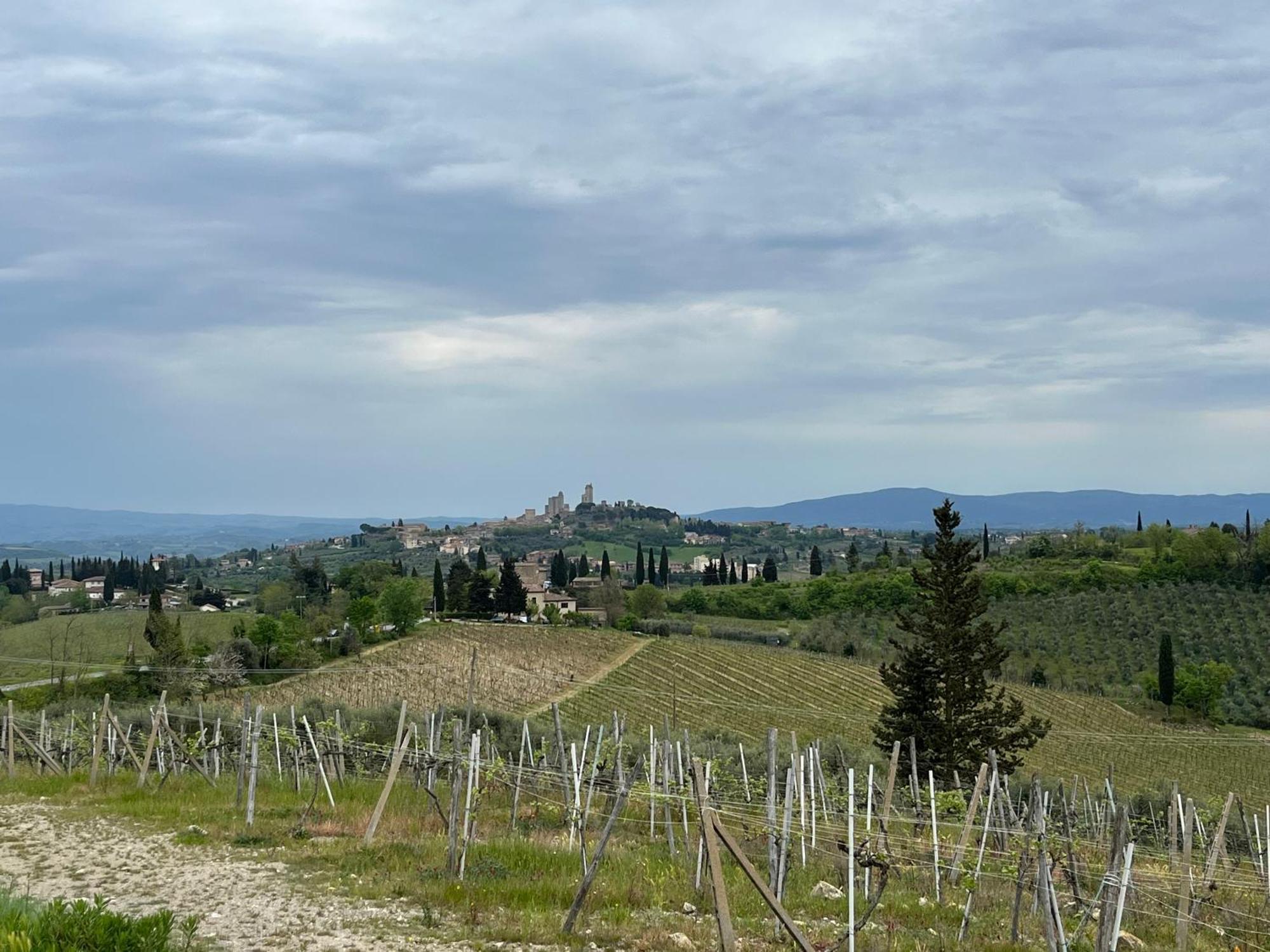 Podere Casanuova San Gimignano Exterior foto