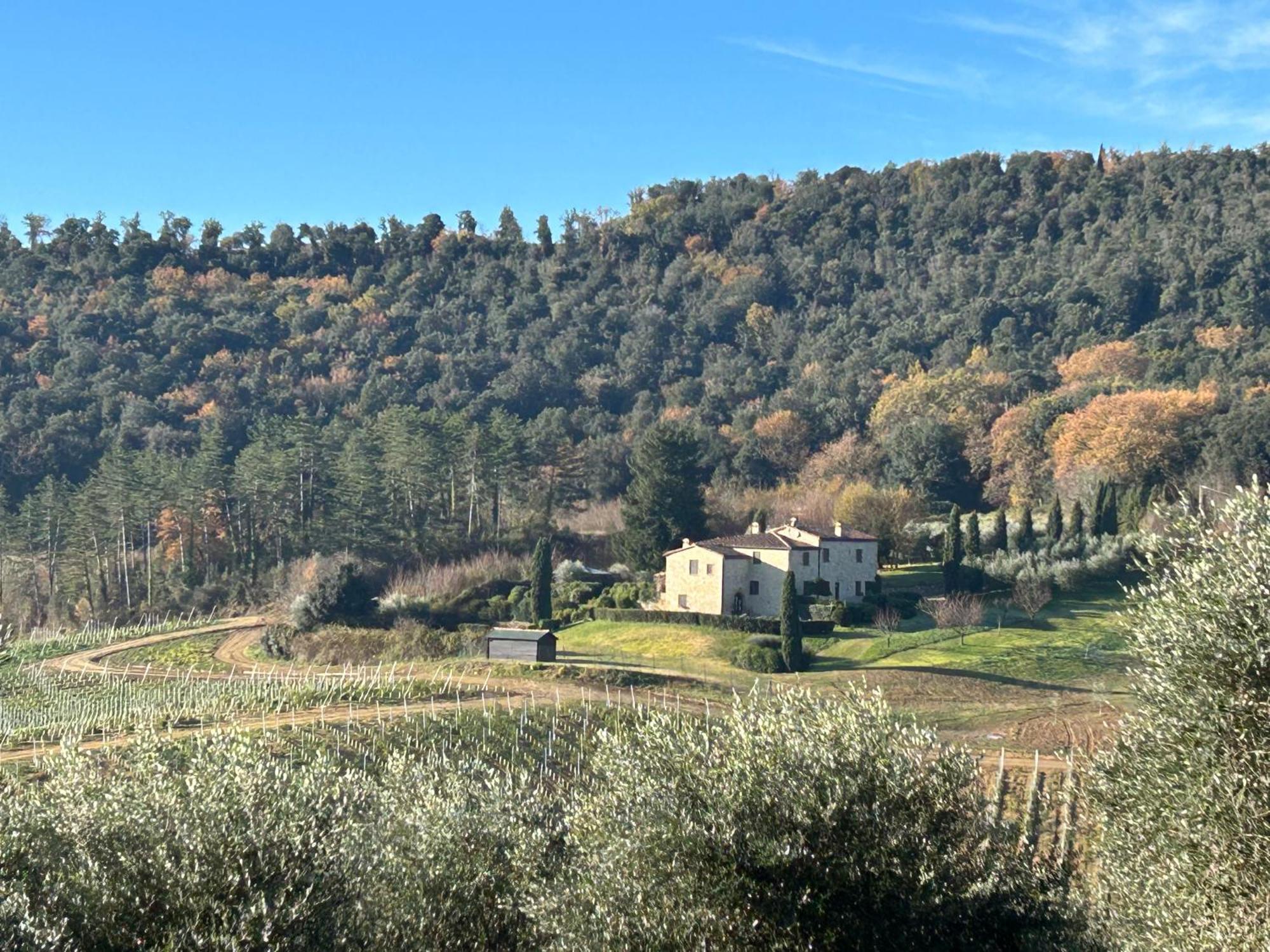 Podere Casanuova San Gimignano Exterior foto