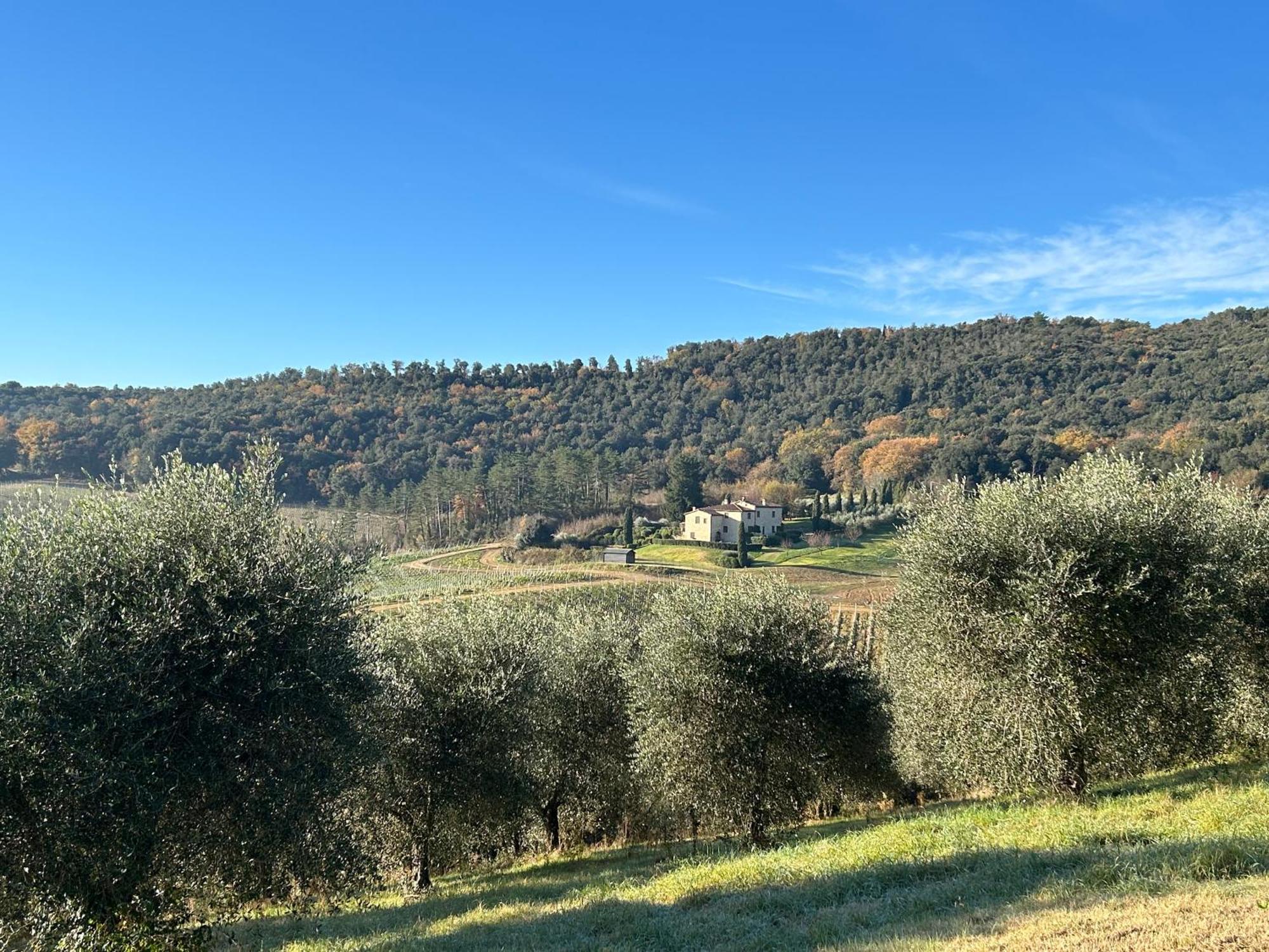 Podere Casanuova San Gimignano Exterior foto